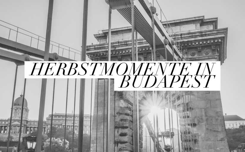 Give me one good reason | Why I should never make a change >> Budapest&nbsp;2018