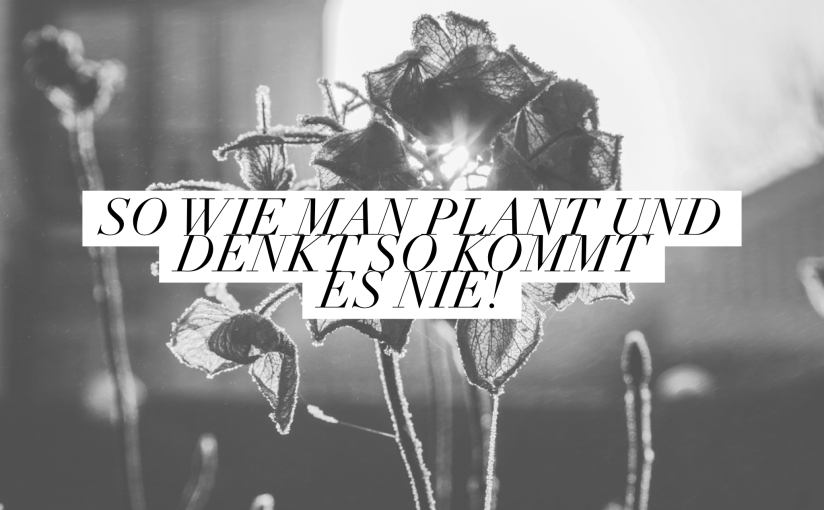 Das war 2019: so wie man plant und denkt so kommt es&nbsp;nie!