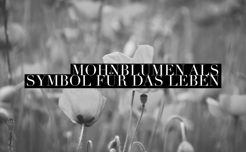 Über Lachen und Weinen oder Südfrankreich: Mohn >&nbsp;Lavendel