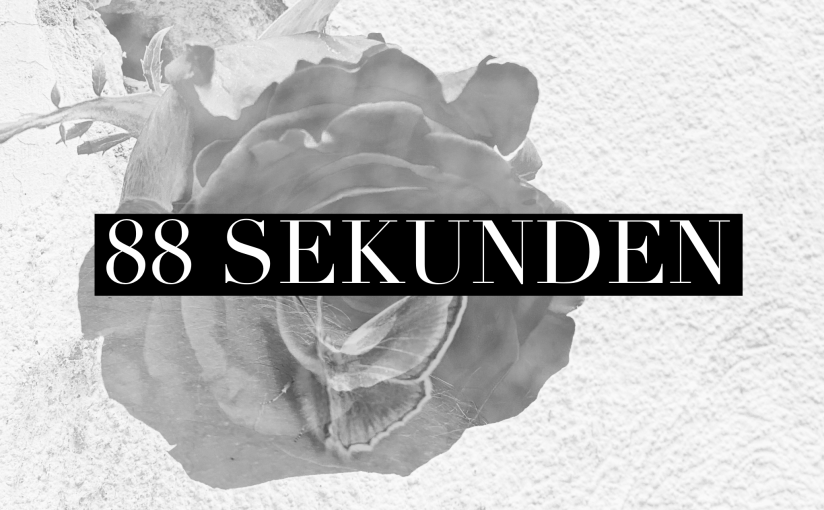 Eins, zwei, drei&nbsp;Entscheidungen