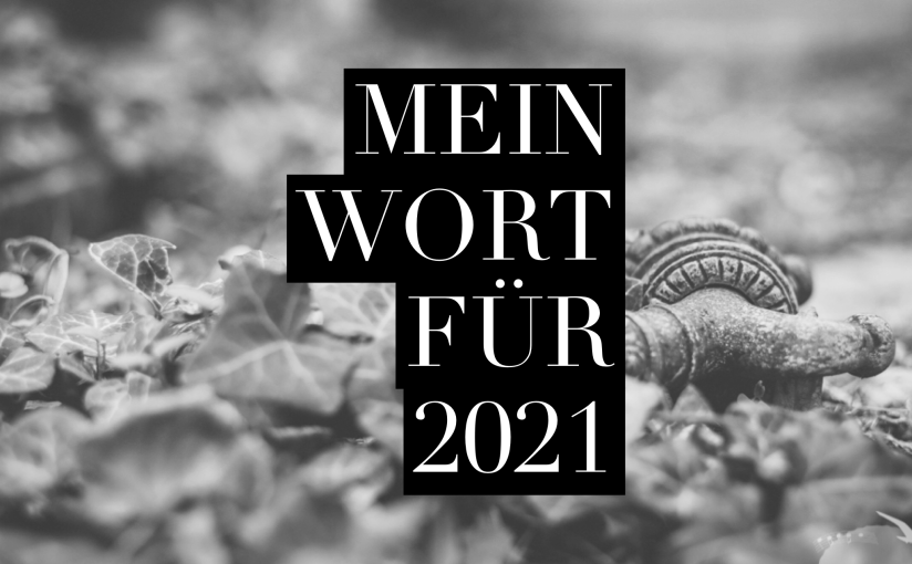 Mein Wort für 2021 oder Zentralfriedhof im Herbst:&nbsp;Details